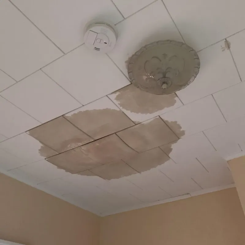 Ceiling Water Damage Repair in University, MS