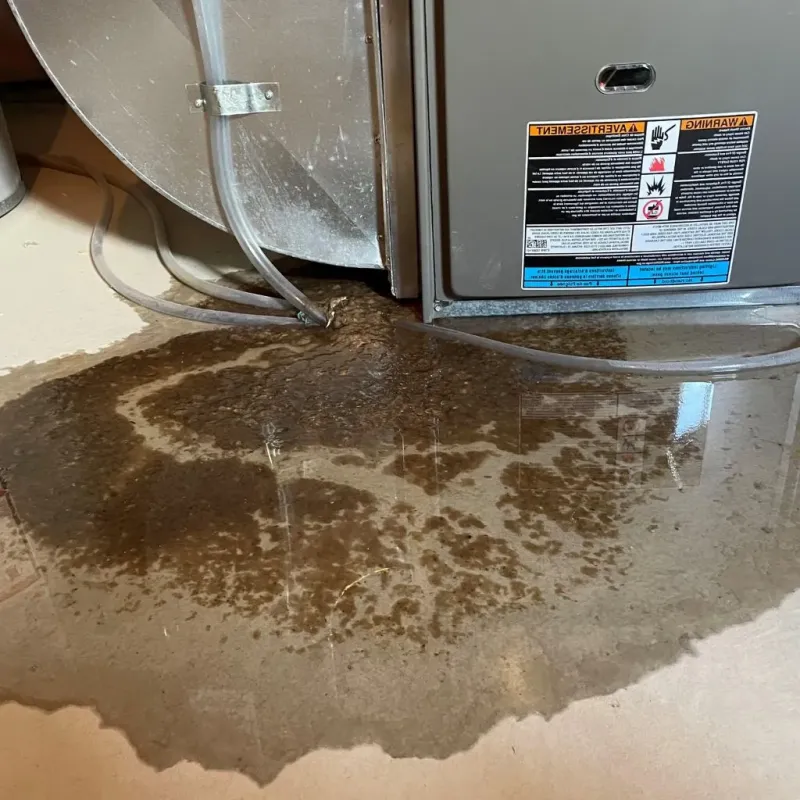 Pipe Burst and Leak Restoration in University, MS