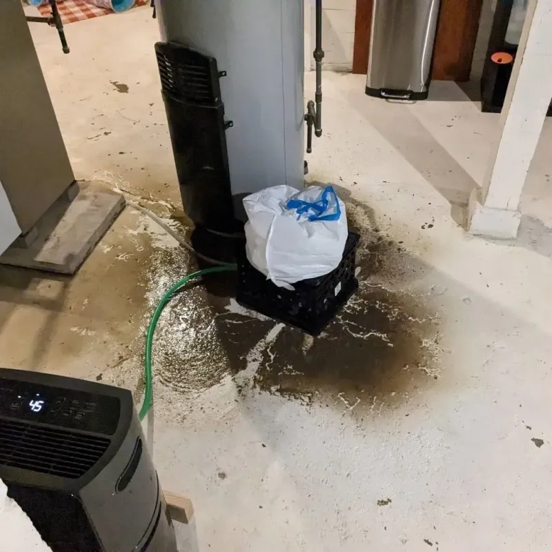 Sewage Backup Cleanup Service in University, MS